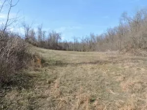 7366 N Harmon Rd, Harrison, AR 72601 photo 34