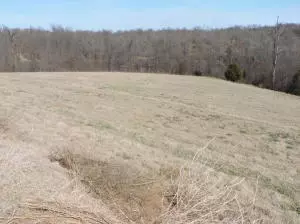 7366 N Harmon Rd, Harrison, AR 72601 photo 33