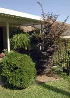 314 Station Dr, Harrison, AR 72601 photo 10