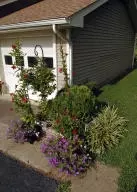 314 Station Dr, Harrison, AR 72601 photo 5