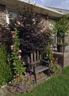 314 Station Dr, Harrison, AR 72601 photo 3