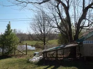 7312 Kyle St, Harrison, AR 72601 photo 25