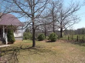 7312 Kyle St, Harrison, AR 72601 photo 20