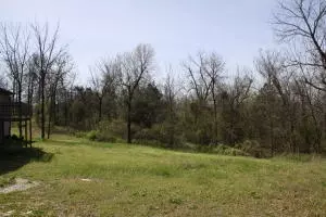 8118 N 5 Hwy, Midway, AR 72651 photo 36