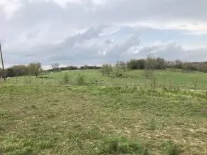 4246 Bellefonte Rd, Harrison, AR 72601 photo 6