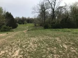 4246 Bellefonte Rd, Harrison, AR 72601 photo 3