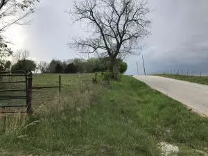4246 Bellefonte Rd, Harrison, AR 72601 photo 2
