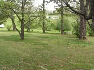 207 Valley View Ave, Harrison, AR 72601 photo 15