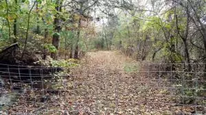 242 Elope Dr, Everton, AR 72633 photo 23