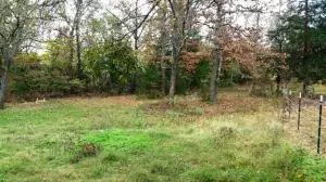 242 Elope Dr, Everton, AR 72633 photo 8