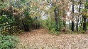 242 Elope Dr, Everton, AR 72633 photo 24