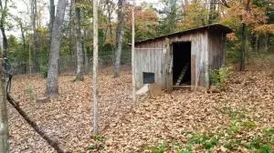 242 Elope Dr, Everton, AR 72633 photo 12