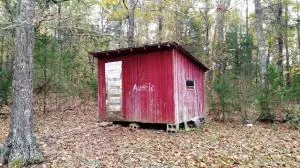 242 Elope Dr, Everton, AR 72633 photo 15