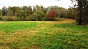 242 Elope Dr, Everton, AR 72633 photo 7
