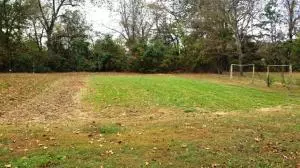 242 Elope Dr, Everton, AR 72633 photo 4