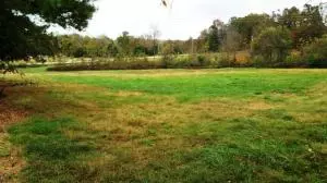 242 Elope Dr, Everton, AR 72633 photo 6