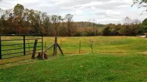 242 Elope Dr, Everton, AR 72633 photo 5