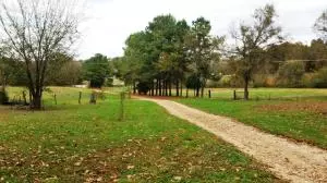 242 Elope Dr, Everton, AR 72633 photo 3