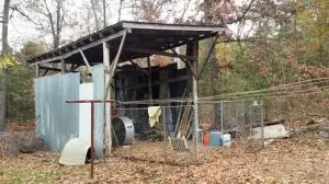242 Elope Dr, Everton, AR 72633 photo 10