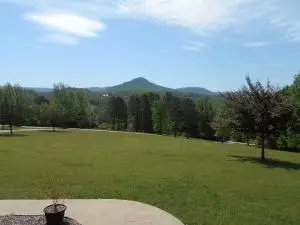 301 Cedar Lane Ests, Jasper, AR 72641 photo 30