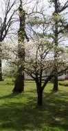 3962 Union Rd, Harrison, AR 72601 photo 55