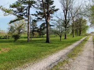 3962 Union Rd, Harrison, AR 72601 photo 48