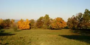 3962 Union Rd, Harrison, AR 72601 photo 57