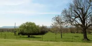 3962 Union Rd, Harrison, AR 72601 photo 60