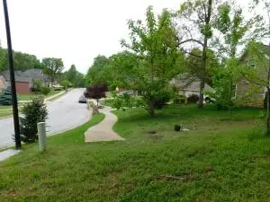 2701 Taylor Dr, Harrison, AR 72601 photo 16