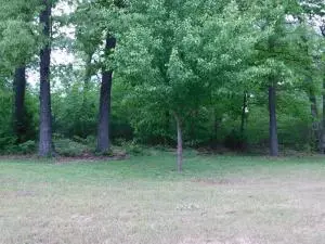 2701 Taylor Dr, Harrison, AR 72601 photo 8