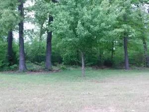 2701 Taylor Dr, Harrison, AR 72601 photo 9