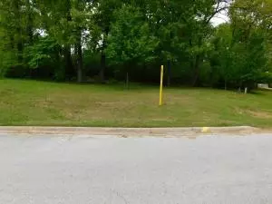2701 Taylor Dr, Harrison, AR 72601 photo 2