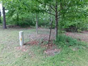 2701 Taylor Dr, Harrison, AR 72601 photo 4
