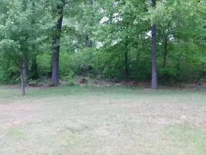 2701 Taylor Dr, Harrison, AR 72601 photo 5