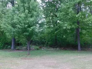 2701 Taylor Dr, Harrison, AR 72601 photo 7