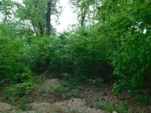 2701 Taylor Dr, Harrison, AR 72601 photo 13
