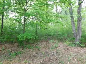 2701 Taylor Dr, Harrison, AR 72601 photo 12