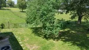 107 Coy Cv, Harrison, AR 72601 photo 35