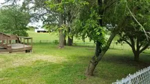 107 Coy Cv, Harrison, AR 72601 photo 25