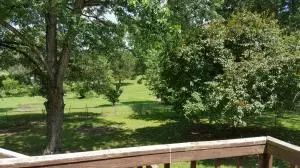 107 Coy Cv, Harrison, AR 72601 photo 34