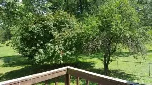 107 Coy Cv, Harrison, AR 72601 photo 33