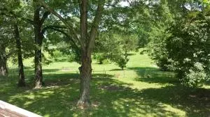 107 Coy Cv, Harrison, AR 72601 photo 36