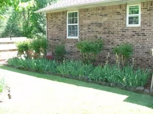302 Tamarind, Harrison, AR 72601 photo 49