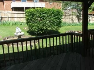 302 Tamarind, Harrison, AR 72601 photo 39