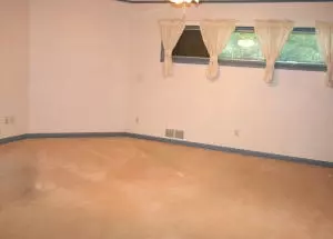168 Mcclintic Ave, Forsyth, MO 65653 photo 23