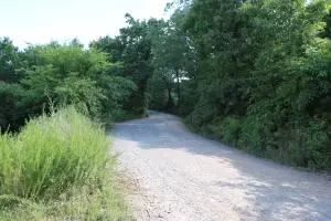 144 Mt Hersey Rd, Everton, AR 72633 photo 16