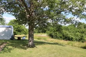 144 Mt Hersey Rd, Everton, AR 72633 photo 12