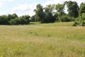 144 Mt Hersey Rd, Everton, AR 72633 photo 15