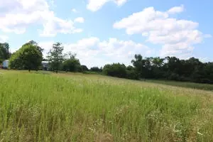 144 Mt Hersey Rd, Everton, AR 72633 photo 14