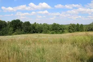 144 Mt Hersey Rd, Everton, AR 72633 photo 13